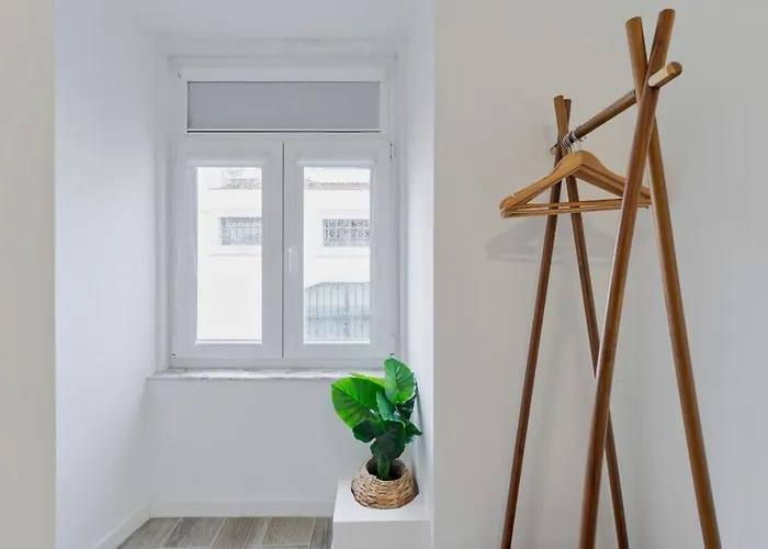 Felp Fran Pacheco 2 Apartamento *