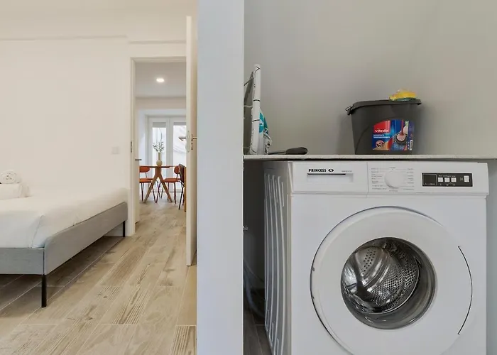 Felp Fran Pacheco 2 *